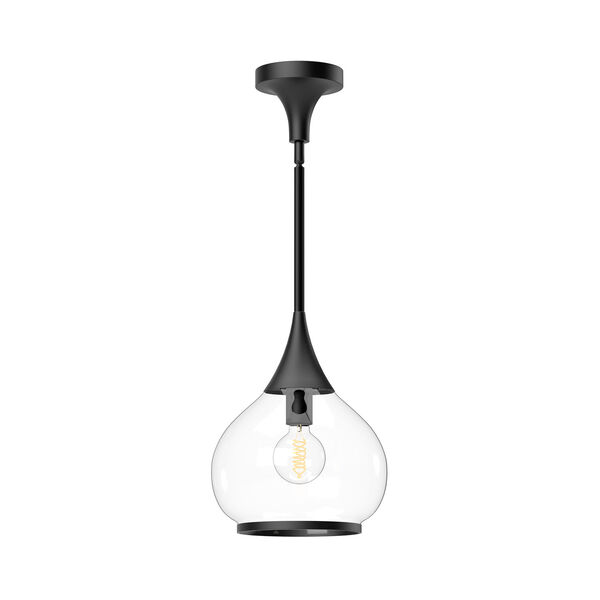 Hazel Matte Black 10-Inch One-Light Pendant with Clear Glass, image 1