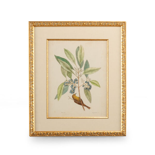 Gold Catesby Bird and Botanical V Wall Art, image 1