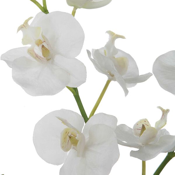 Glory White Orchid Tabletop Décor, image 4