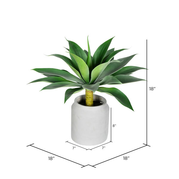 Green Agave with White Ceramic Pot, image 2