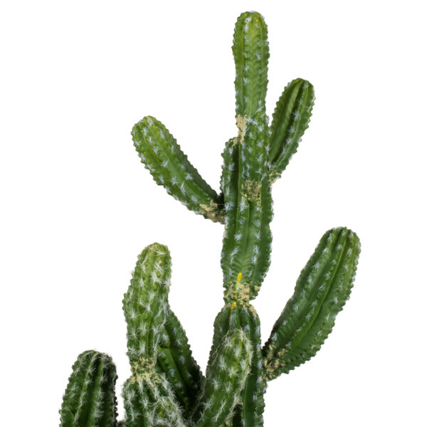 Green 31-Inch Potted Cactus, image 3