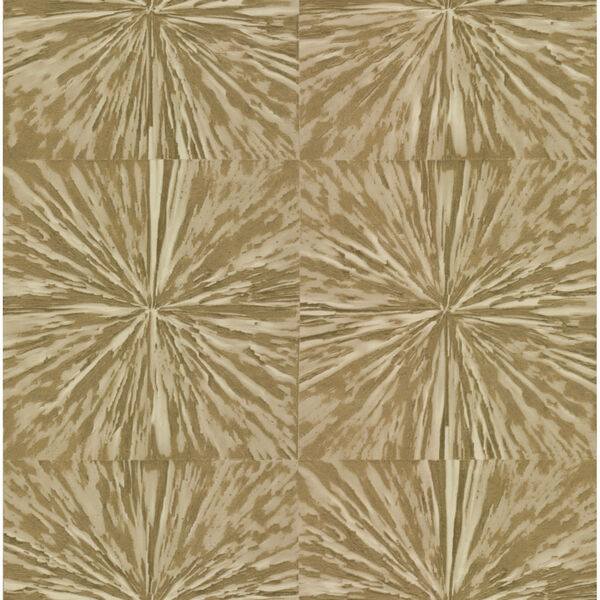 Antonina Vella Elegant Earth Gold Squareburst Geometric Wallpaper, image 2
