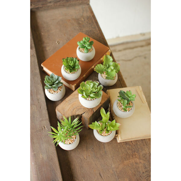 Small Succulents with Round Grey Pot, Set of Eight, image 1