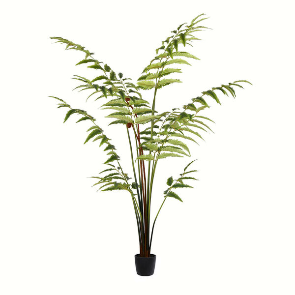 Green Leather Fern with 180 Leaves in Black Pot, image 1