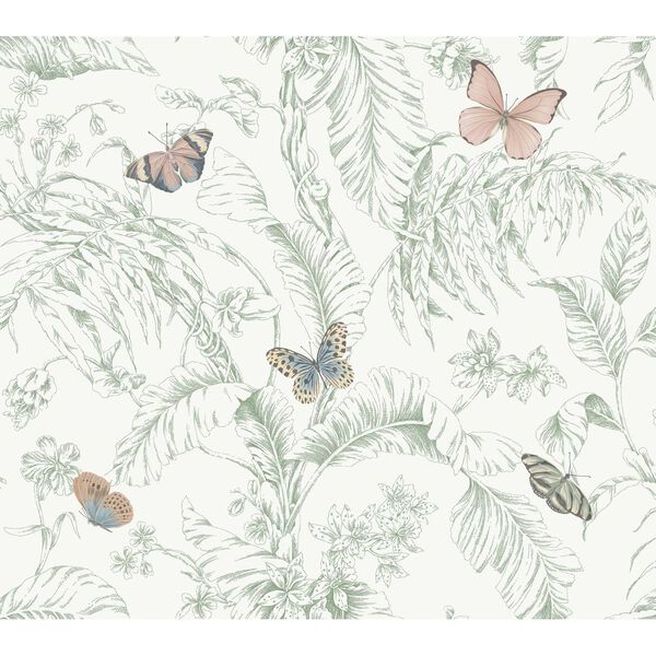 Papillon Blush Wallpaper, image 2
