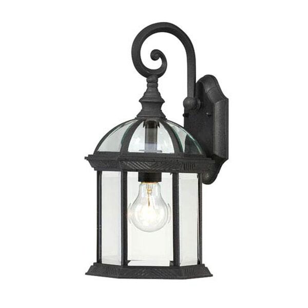 Boxwood Textured Black Finish One Light Outdoor Wall Sconce with Clear Beveled Glass, image 1