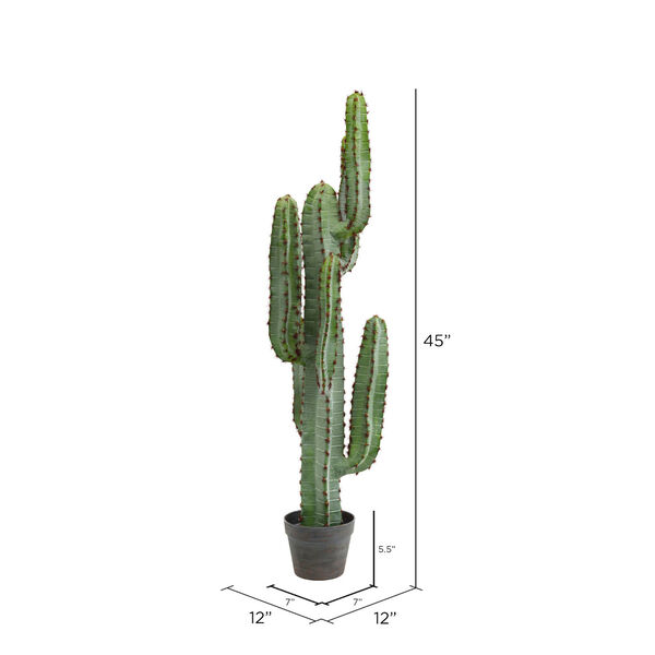 Green Fwithger Cactus with Gray Pot, image 2