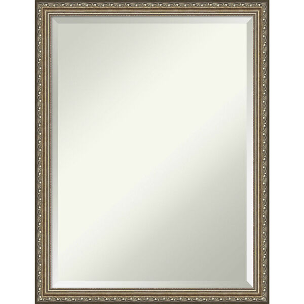 Parisian Silver 20W X 26H-Inch Bathroom Vanity Wall Mirror, image 1