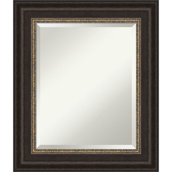 Bronze 22W X 26H-Inch Bathroom Vanity Wall Mirror, image 1