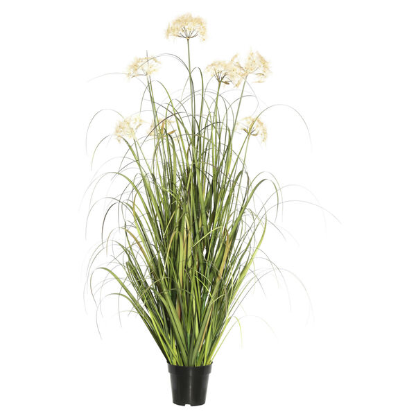 Multicolor 60-Inch Dandelion Grass in Pot, image 1