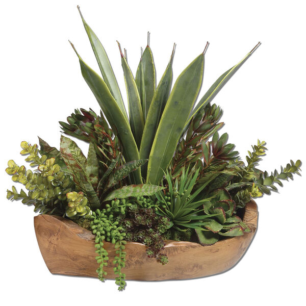Green Salar Succulents with Teak Bowl, image 1
