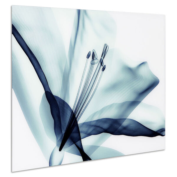 Amaryllis Frameless Free Floating Tempered Glass Graphic Wall Art, image 3
