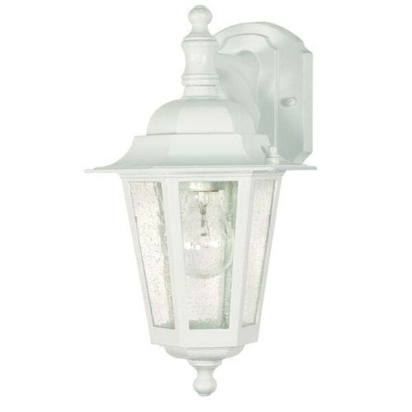 Evelyn White 13-Inch One-Light Outdoor Wall Sconce with Seeded Glass, image 1