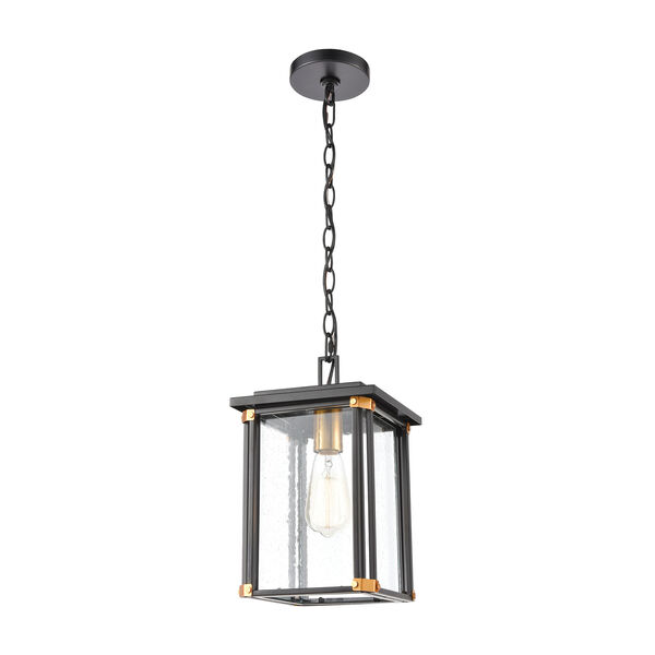 Vincentown Matte Black and Brushed Brass One-Light Outdoor Pendant, image 1