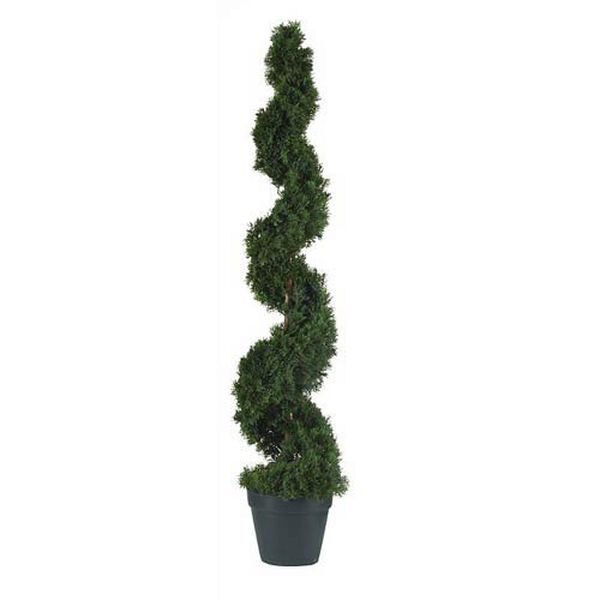 Cedar Spiral Silk Tree - 4 Feet, image 1