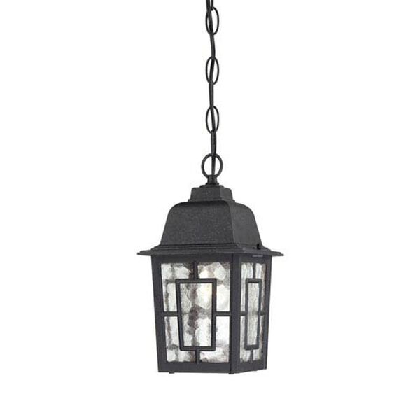 Banyon Textured Black Finish One Light Outdoor Hanging Pendant with Clear Water Glass, image 1