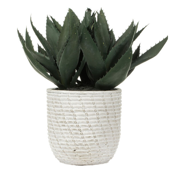 Green Succulent with Concrete Gray Pot, image 1