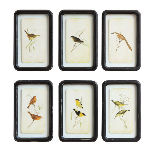 Framed Birds Wall Art, Set of Six, image 1