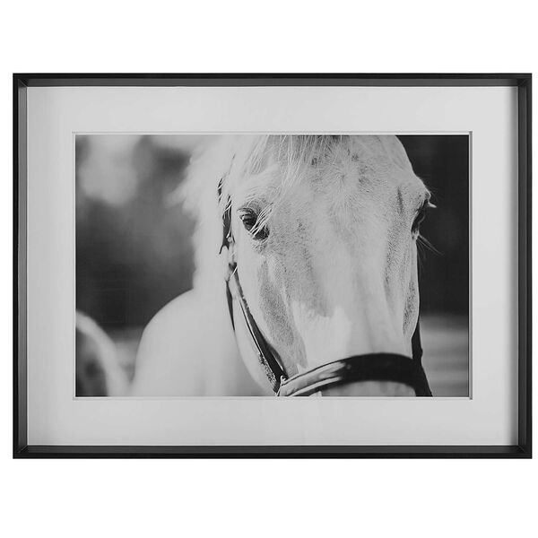 Eyes On The Prize Black and White 46 x 34-Inch Framed Print, image 2