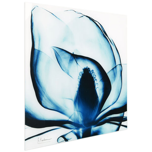 Blue Magnolia Frameless Free Floating Tempered Glass Graphic Wall Art, image 3