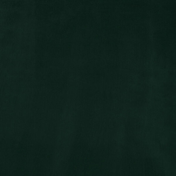 Forest Green Plush Velvet - SAMPLE SWATCH ONLY, image 1