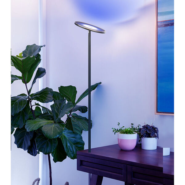 Sky Colors Black Integrated LED Floor Lamp, image 5