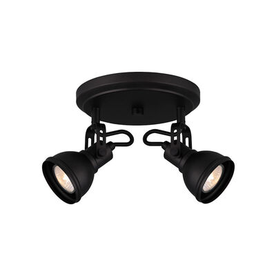 Directional Spotlights Flush Semi, Large Directional Spot Light Fixture