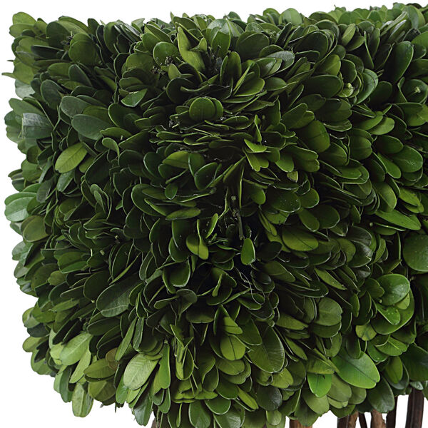 Preserved Boxwood Satin Black Rectangular Topiary, image 4