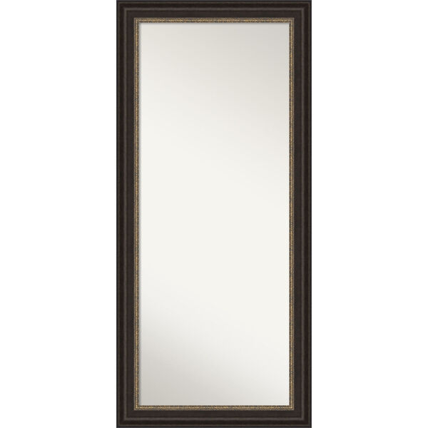 Bronze 30W X 66H-Inch Full Length Floor Leaner Mirror, image 1