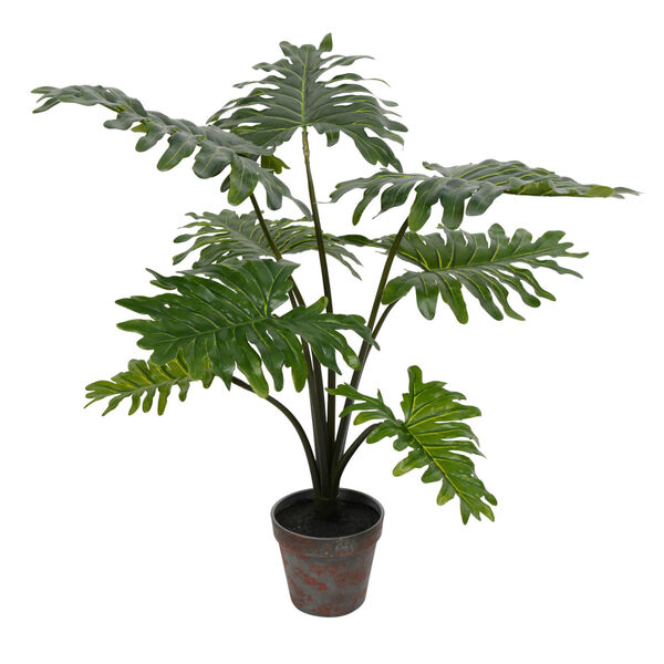 Green 25-Feet Potted Grand Philo Bush with 8 Leaves, image 1