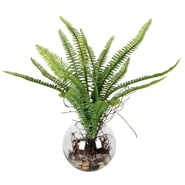 Green Fern with Glass Pot, image 1