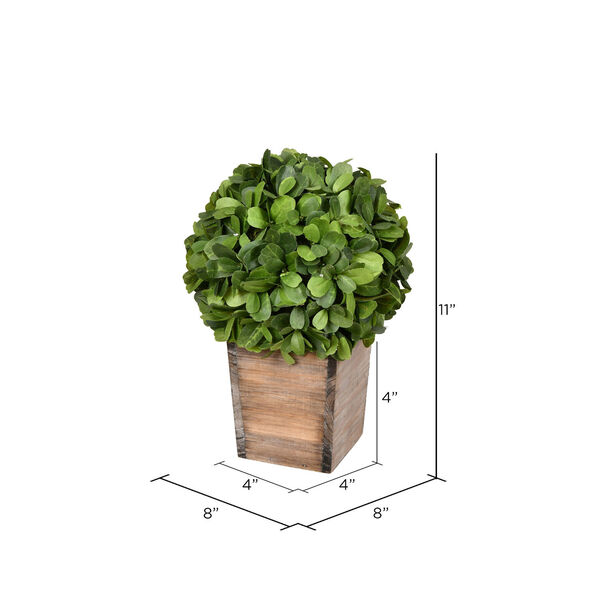 Green Boxwood Ball Plant with Pot, image 2