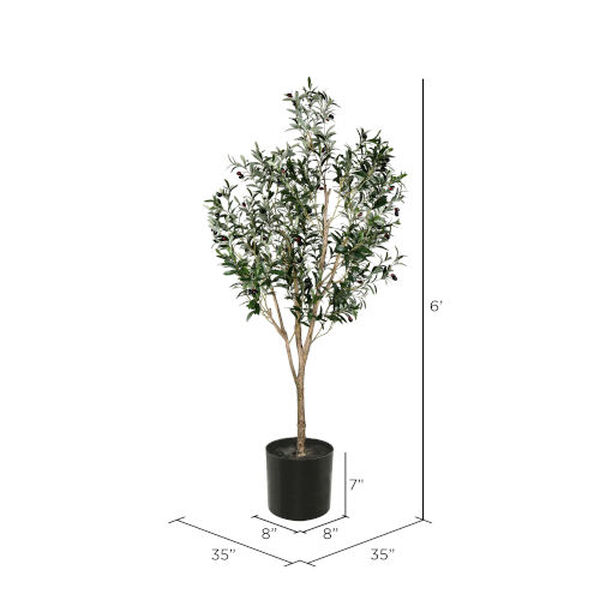Green 72-Inch Olive Tree with Black Pot, image 2
