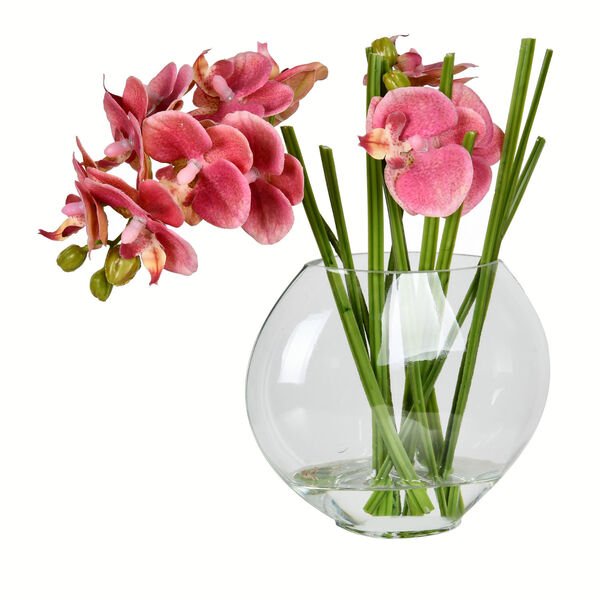 Green and Pink Orchid with Glass Pot, image 1