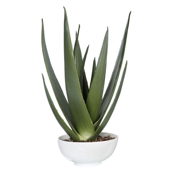 Evarado Glossy White Aloe Planter, image 1
