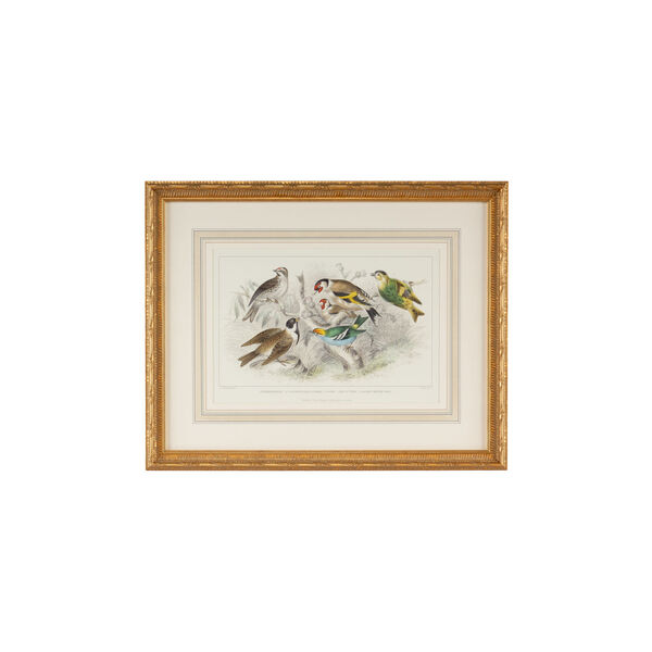 Gold Finch, Bunting and Wrens Wall Art, image 1