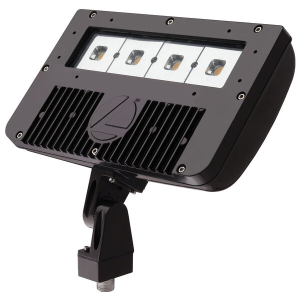 DSXF2 LED P1 50K M2 LED Flood Light, 7,790 Lumens, 54W, image 1