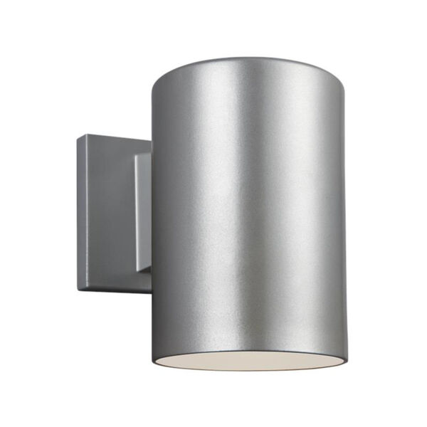 Outdoor Cylinders Painted Brushed Nickel LED Turtle Friendly Wall Lantern, image 2