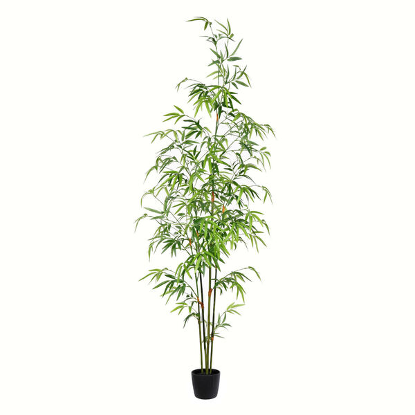 Green Potted Mini Bamboo Tree with 819 Leaves, image 1