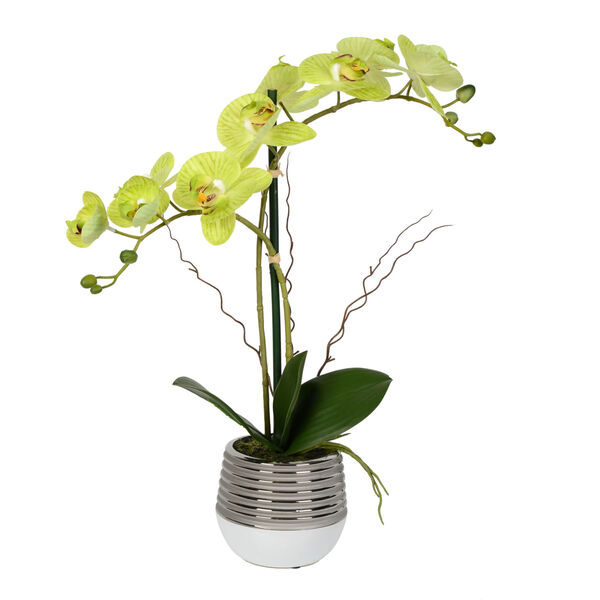 Green Real Touch Phalaenopsis in Metal Pot, image 1