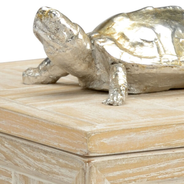 White 6-Inch Tortoise Box, image 2