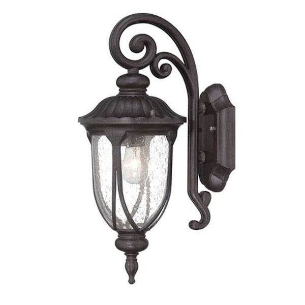 Laurens Black Coral 7-Inch One-Light Outdoor Wall Mount with Clear Seeded Glass, image 1