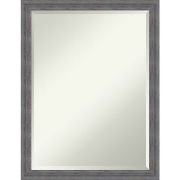 Dixie Gray 20W X 26H-Inch Decorative Wall Mirror, image 1