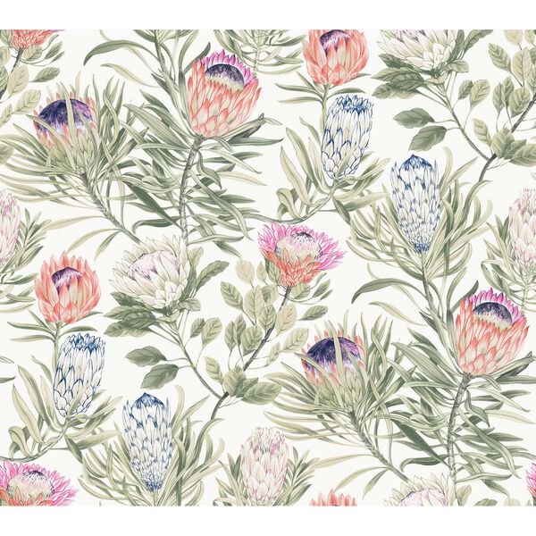 Protea White Fuchsia Wallpaper, image 2