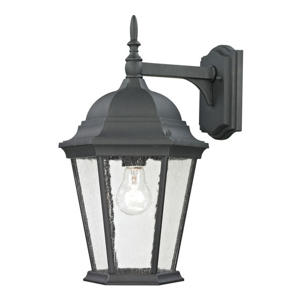 Temple Hill Matte Textured Black Medium One-Light Outdoor Wall Sconce, image 1