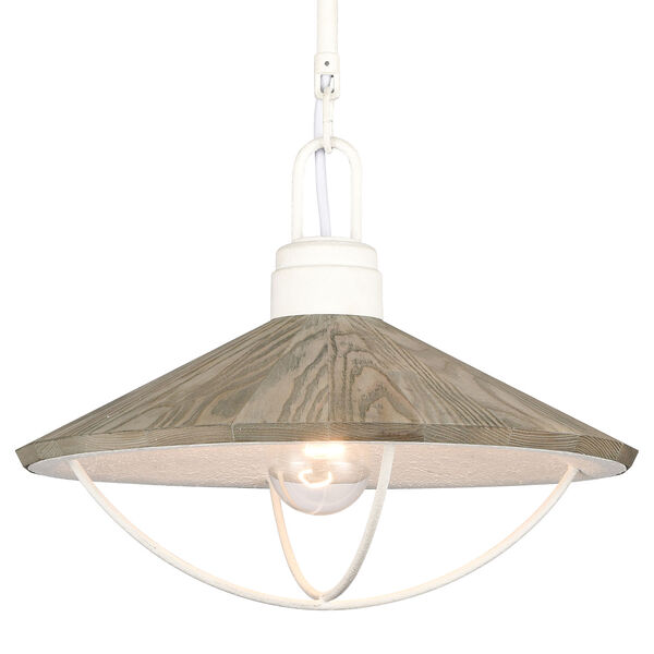 Cape May White Coral One-Light Pendant, image 4