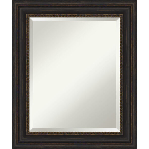 Bronze 21W X 25H-Inch Bathroom Vanity Wall Mirror, image 1