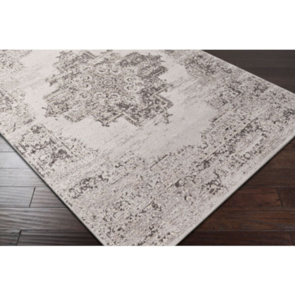 Amsterdam Taupe and Beige Rectangular: 2 Ft. x 3 Ft. Rug, image 4