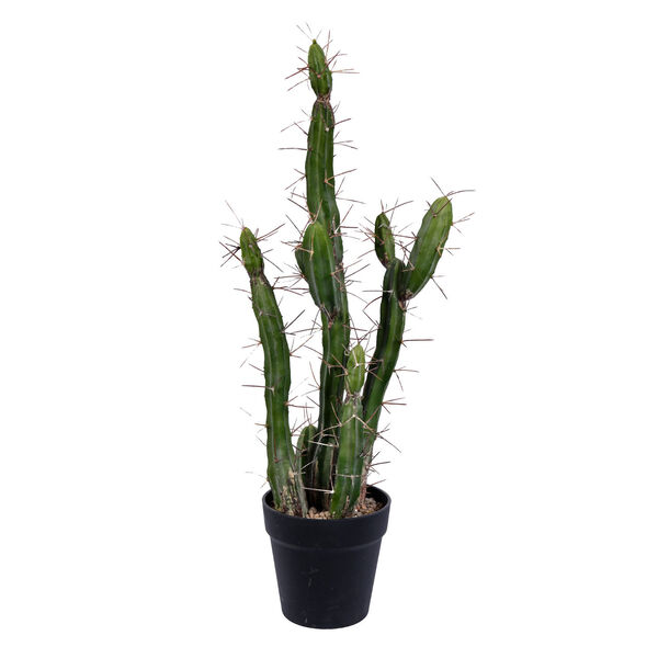 Green 24-Inch Cactus with Black Pot, image 1