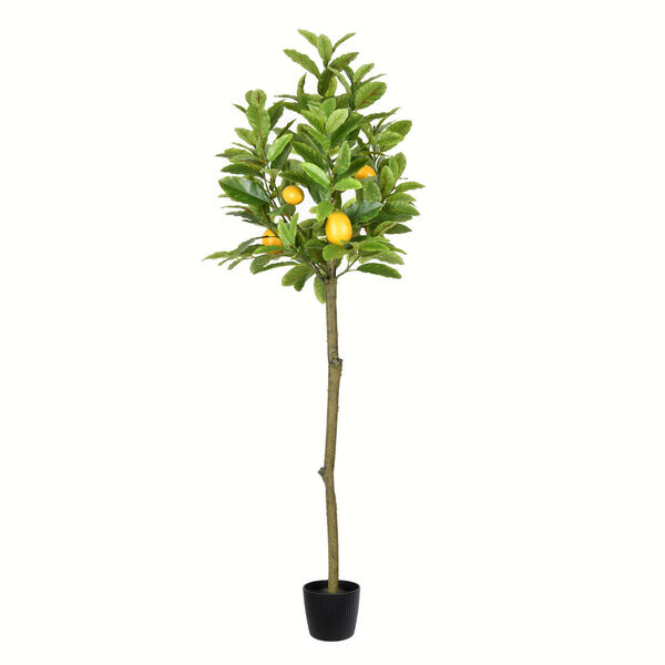 Green Potted Lemon Tree with 185 Leaves, image 1